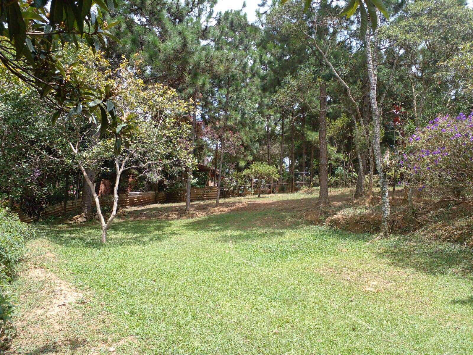 Terreno à venda, 1000m² - Foto 1