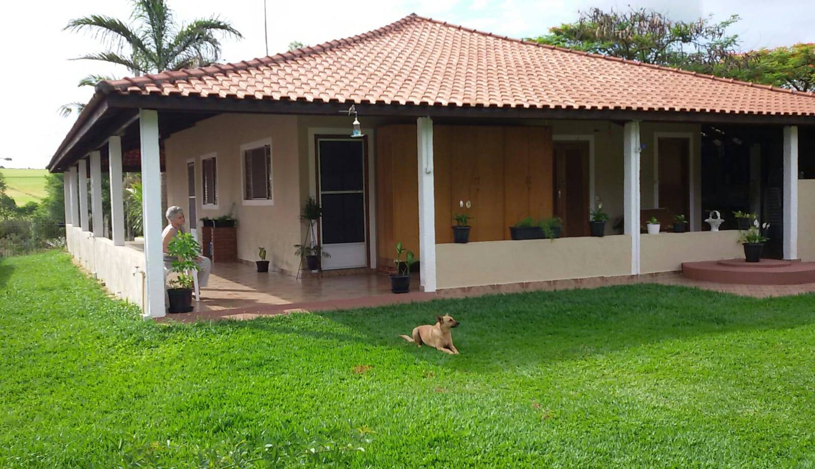 Fazenda à venda com 3 quartos, 1500m² - Foto 8