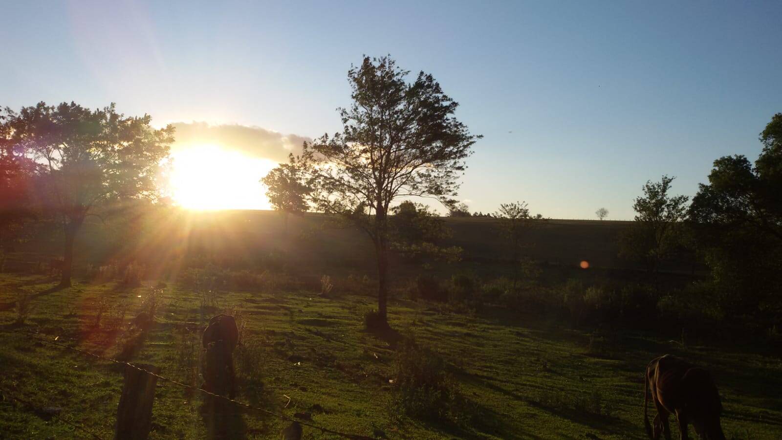 Fazenda à venda com 3 quartos, 1500m² - Foto 15