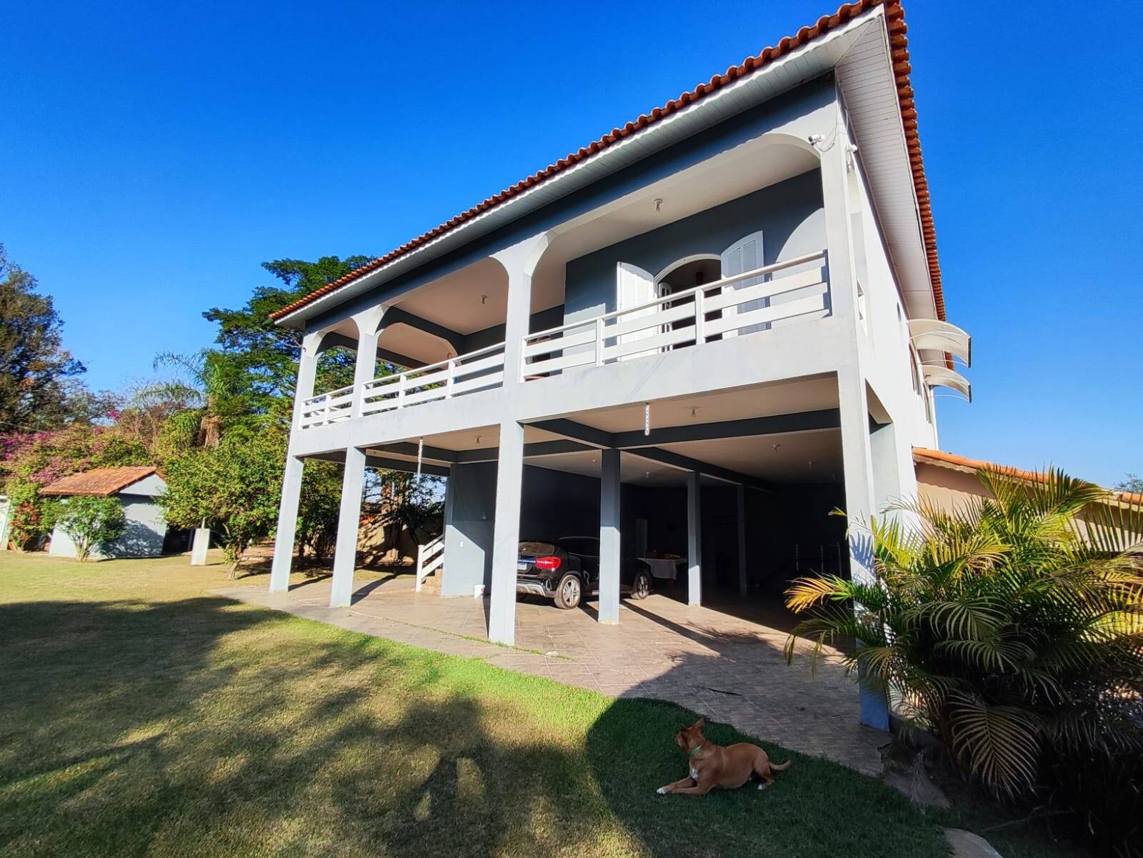 Fazenda à venda com 3 quartos, 9000m² - Foto 3