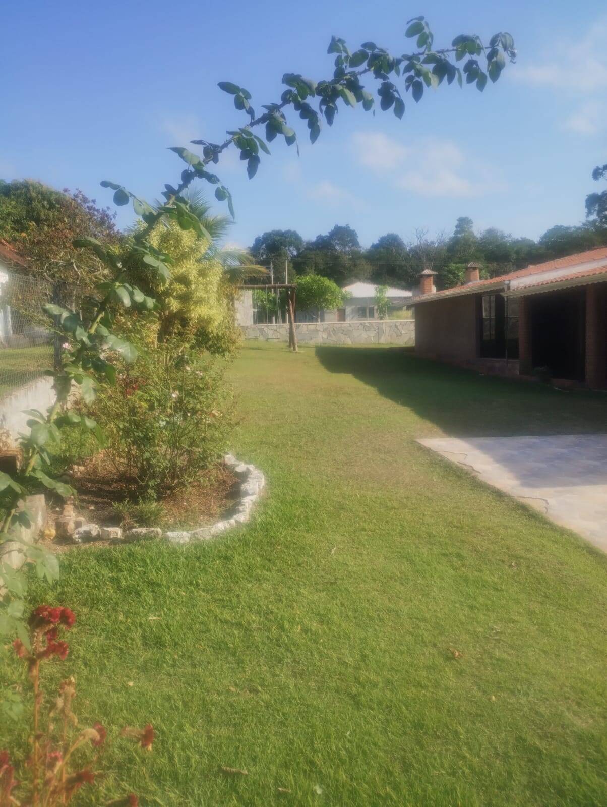 Fazenda à venda com 3 quartos, 1000m² - Foto 10