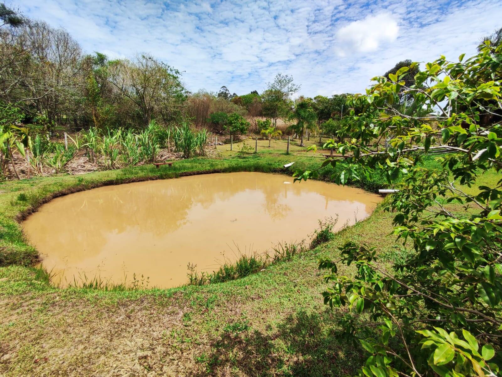 Fazenda à venda com 3 quartos, 1300m² - Foto 21