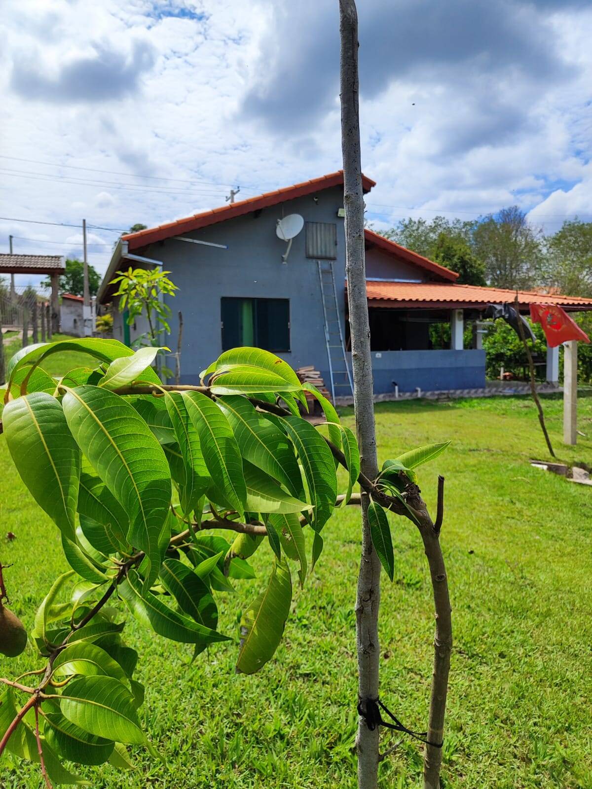 Fazenda à venda com 3 quartos, 1300m² - Foto 7