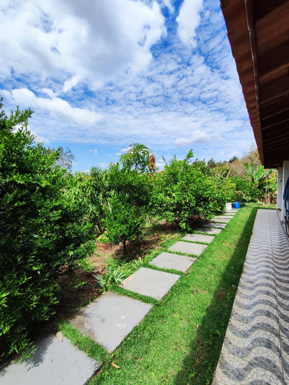 Fazenda à venda com 3 quartos, 1300m² - Foto 5