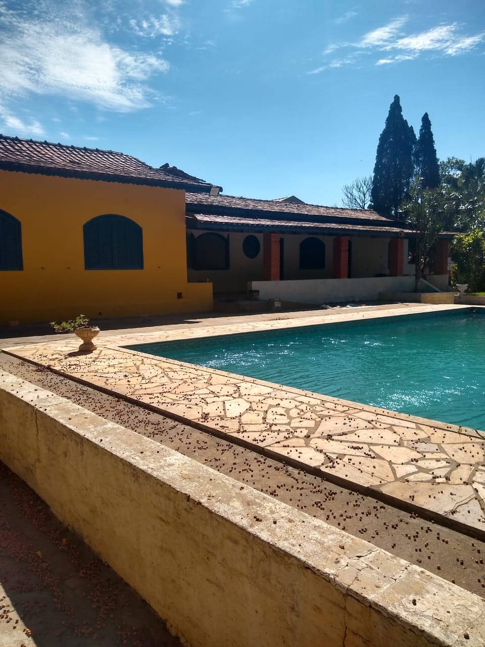 Fazenda à venda com 3 quartos, 10000m² - Foto 5