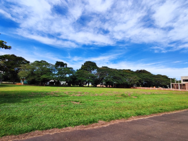 Terreno à venda, 1000m² - Foto 4