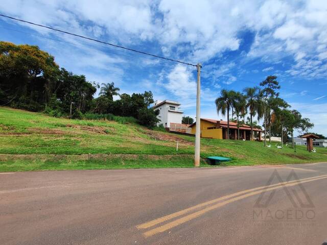 Área para Venda em Pardinho - 5