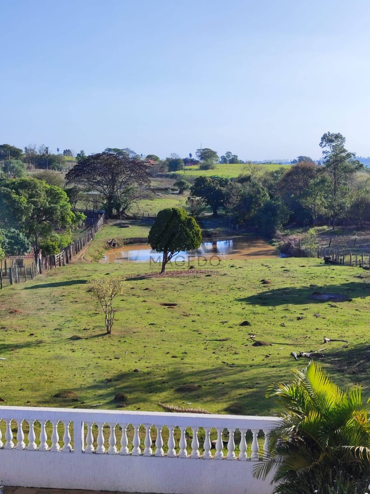 Fazenda à venda com 3 quartos, 9000m² - Foto 17