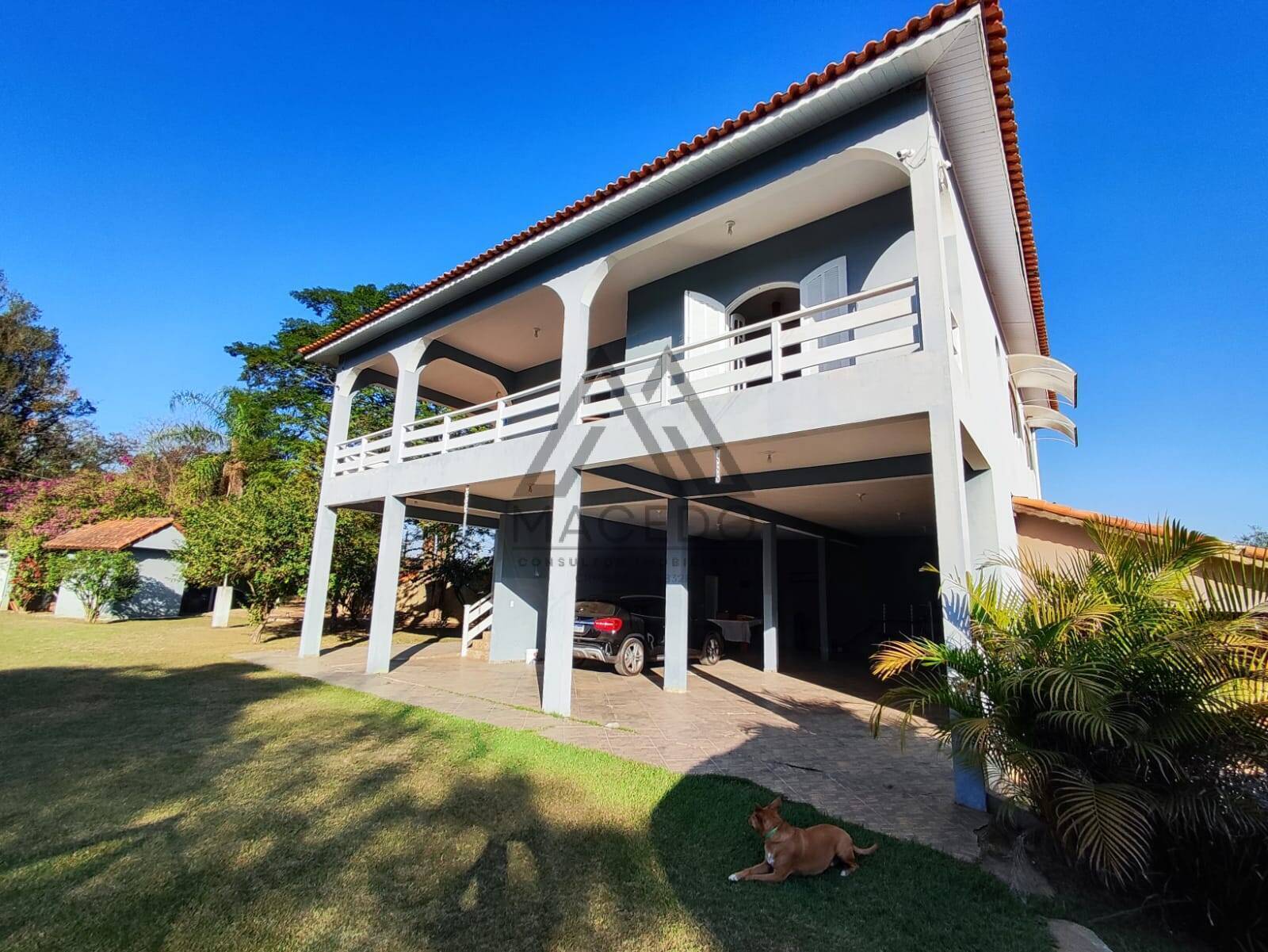 Fazenda à venda com 3 quartos, 9000m² - Foto 3