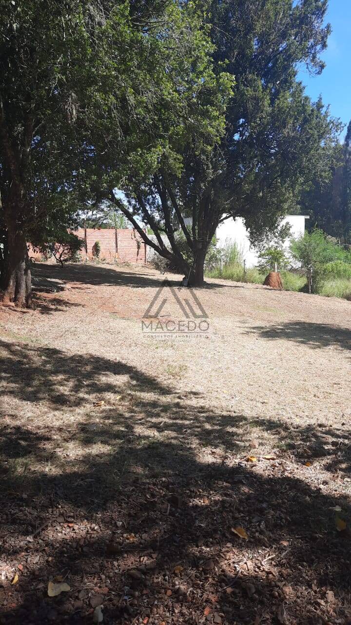 Fazenda à venda com 3 quartos, 10000m² - Foto 3